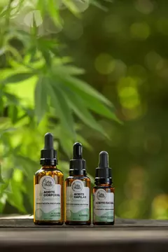 Aceite Capilar Con CBD - Nutrición Hasta Las Puntas en internet